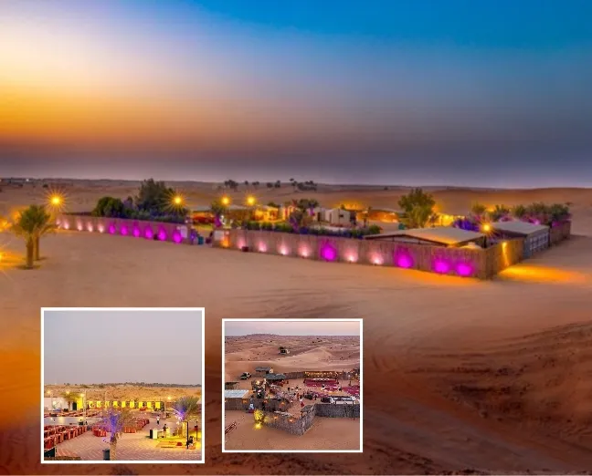 Desert Safari Experience